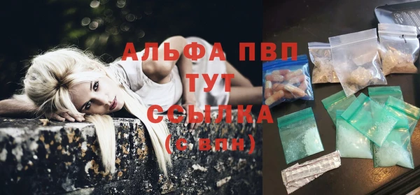 гидра Алексин