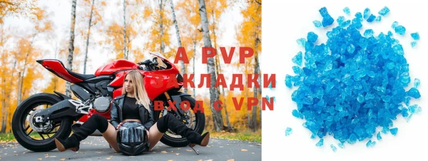 гидра Алексин